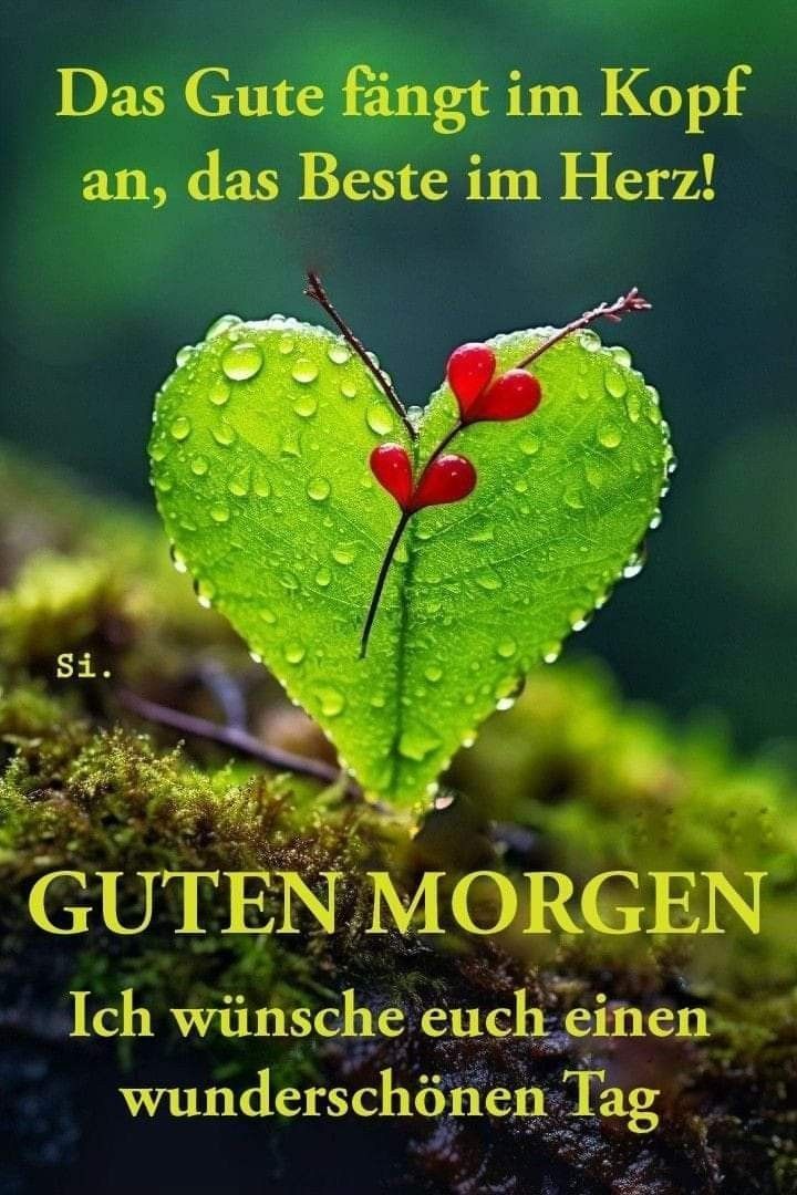 Guten Morgen Bilder Neu 84
