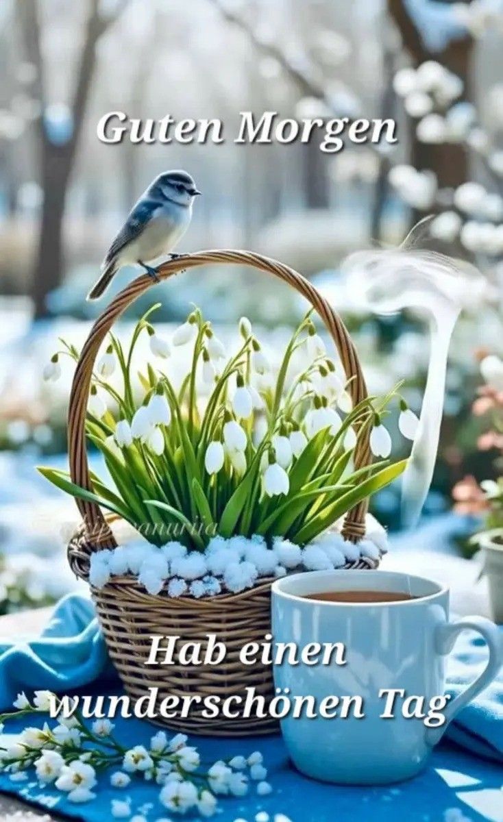 Guten Morgen Bilder Neu 88