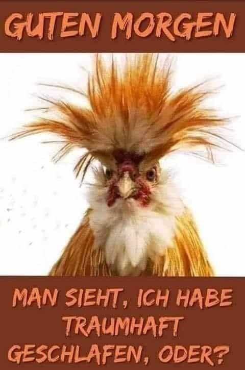 Guten Morgen Bilder 112