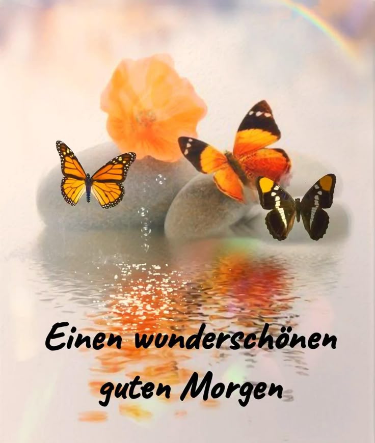 Guten Morgen Bilder 144