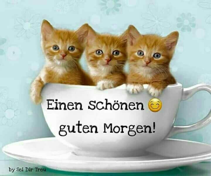 Guten Morgen Bilder 42