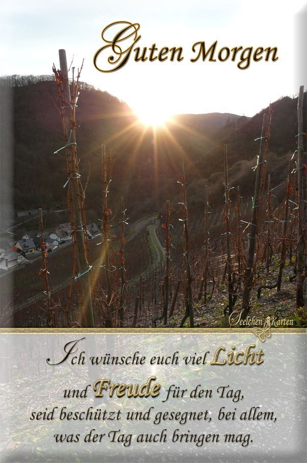 Guten Morgen Bilder 48