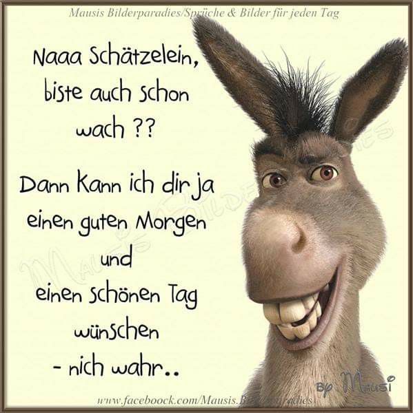 Guten Morgen Bilder 58