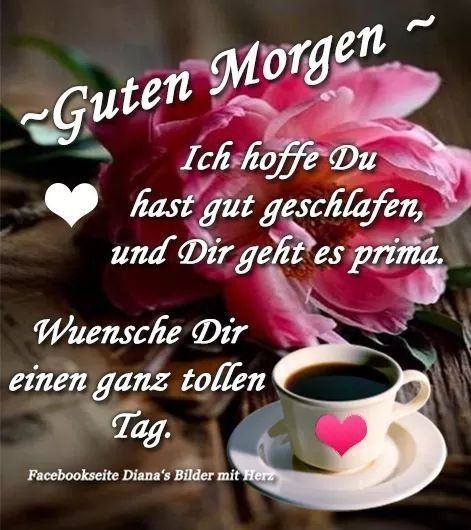 Guten Morgen Bilder 9