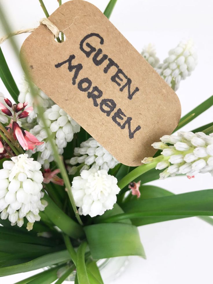 Guten Morgen Bilder 96