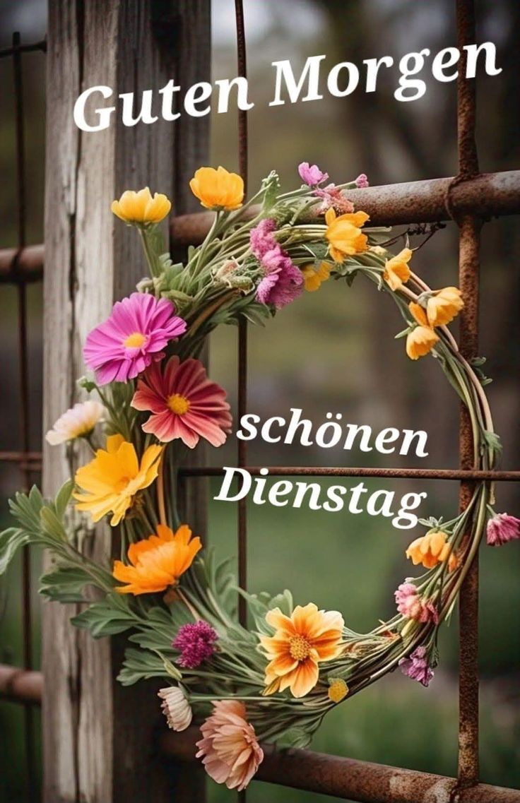 Guten Morgen Dienstag Bilder 113