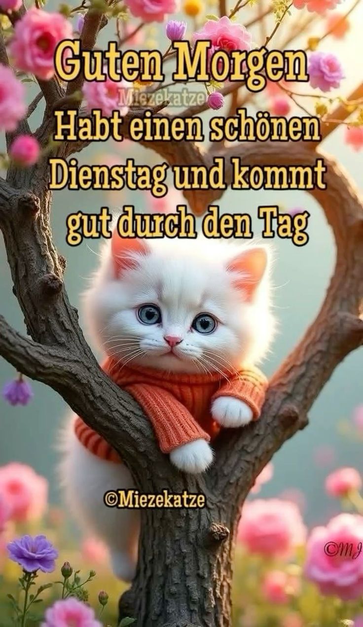 Guten Morgen Dienstag Bilder 13