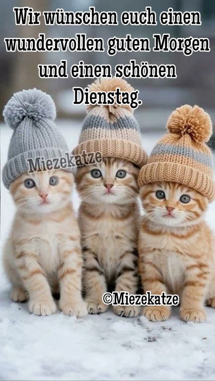 Guten Morgen Dienstag Bilder 130
