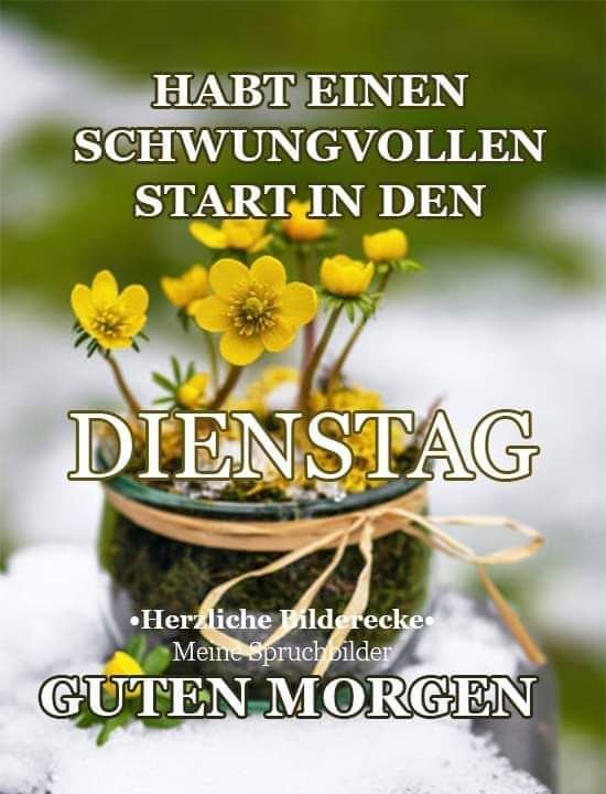 Guten Morgen Dienstag Bilder 144