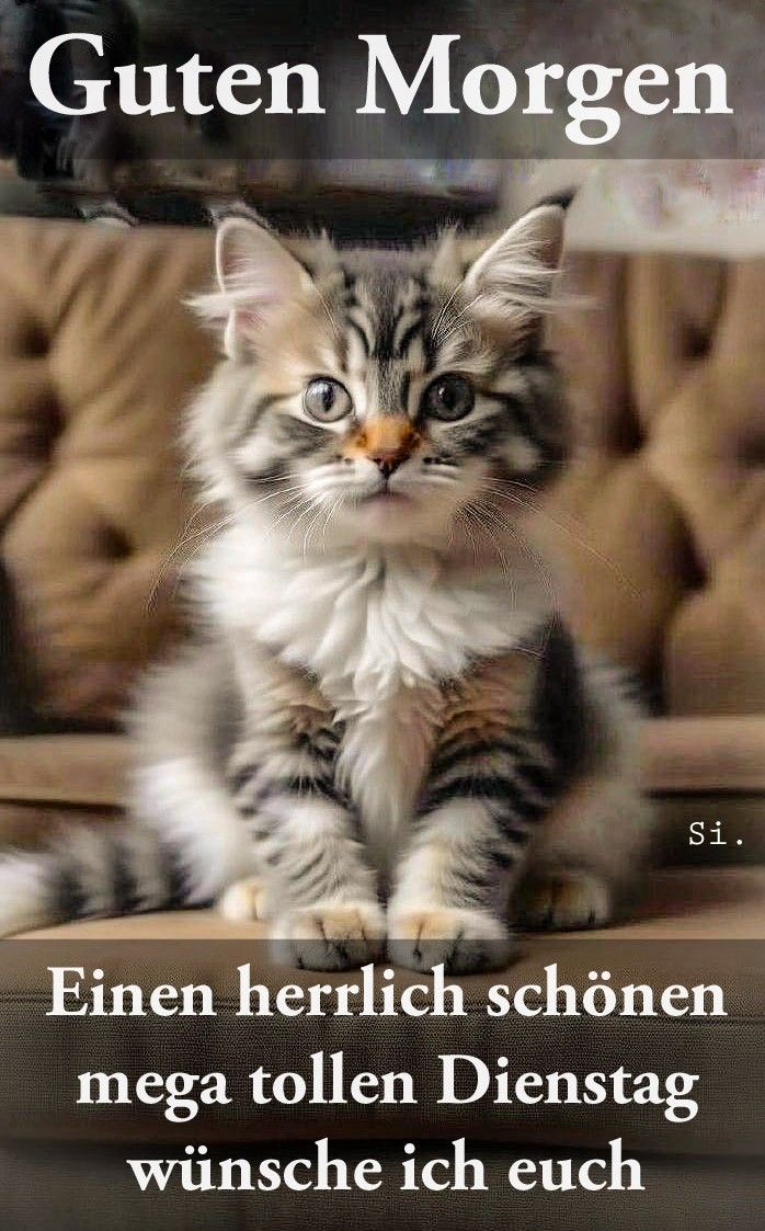 Guten Morgen Dienstag Bilder 24