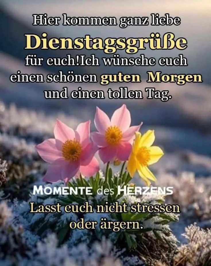 Guten Morgen Dienstag Bilder 25