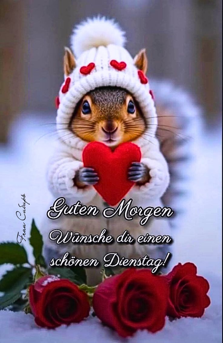 Guten Morgen Dienstag Bilder 45