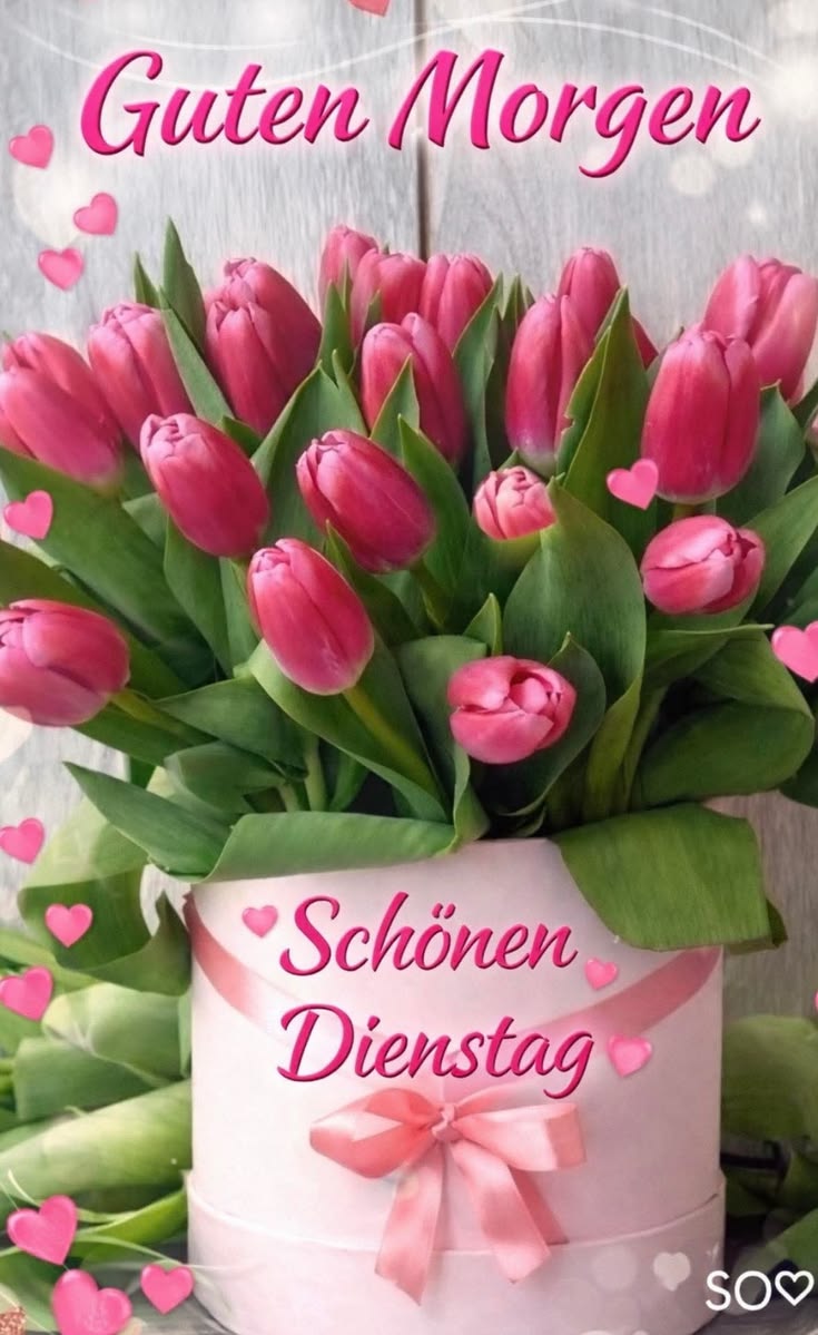 Guten Morgen Dienstag Bilder 58