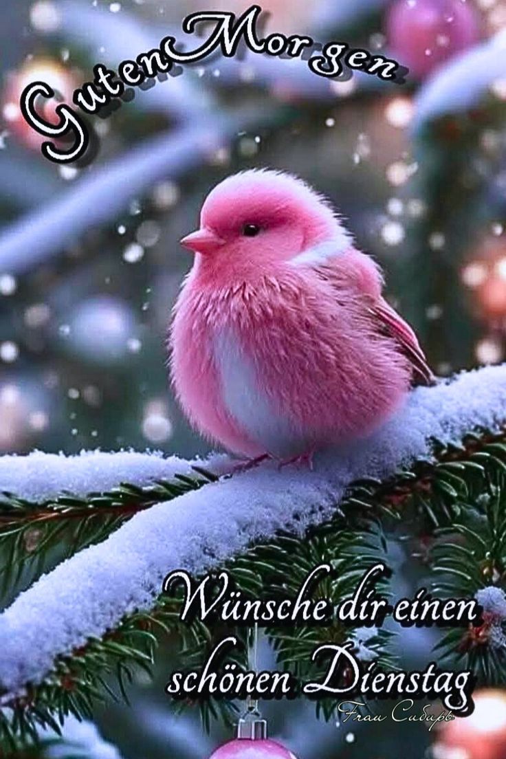 Guten Morgen Dienstag Bilder 74