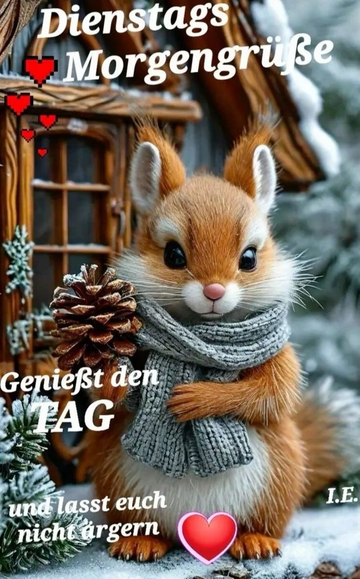 Guten Morgen Dienstag Bilder 79