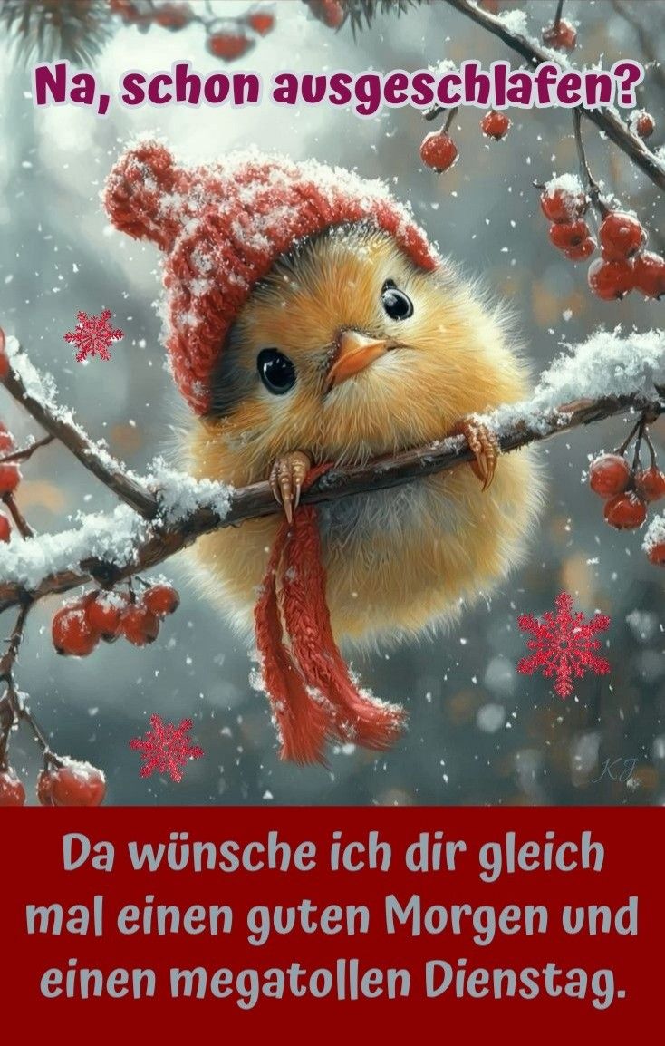 Guten Morgen Dienstag Bilder 91