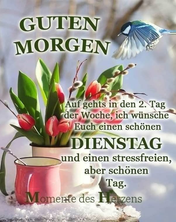 Guten Morgen Dienstag Bilder 99