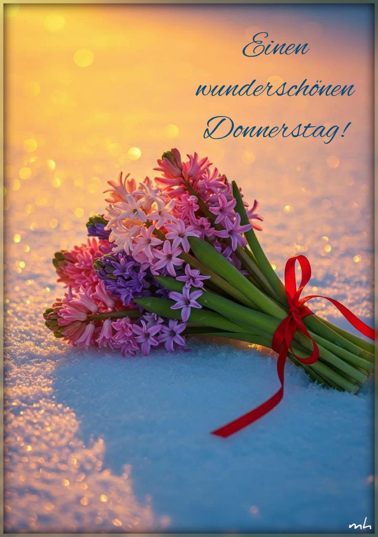 Guten Morgen Donnerstag Bilder 107