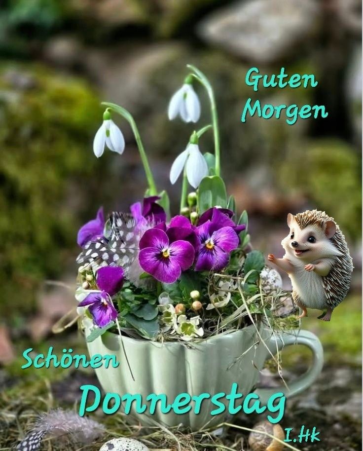 Guten Morgen Donnerstag Bilder 126