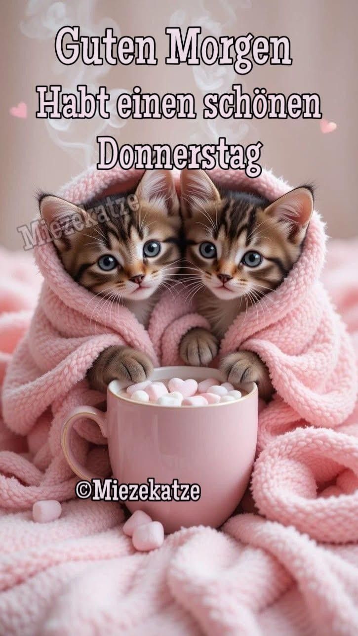 Guten Morgen Donnerstag Bilder 48