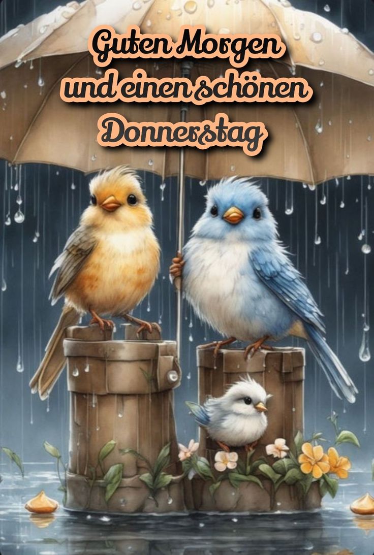 Guten Morgen Donnerstag Bilder 68