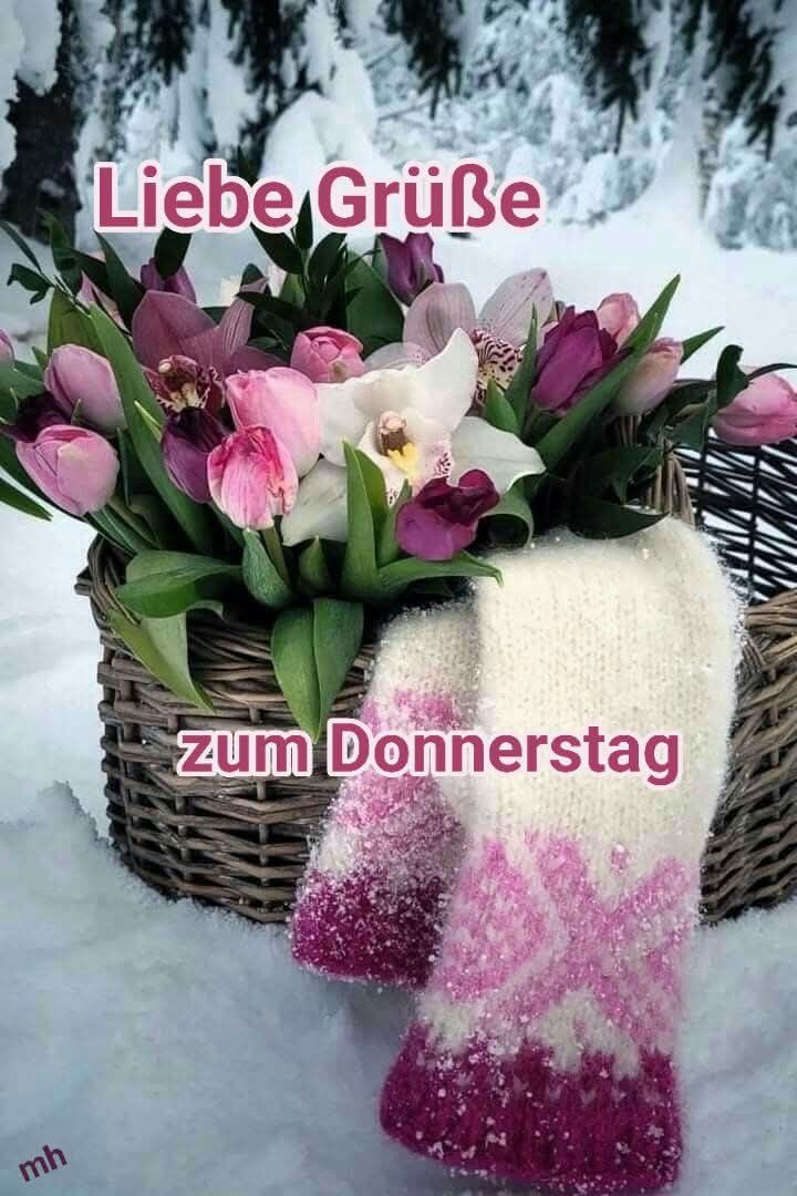 Guten Morgen Donnerstag Bilder 8