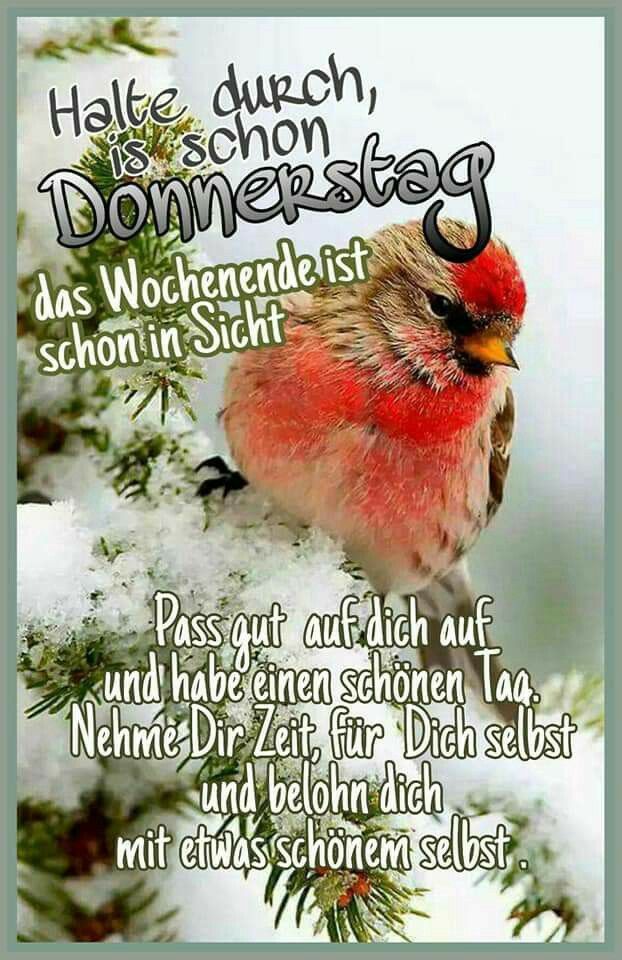 Guten Morgen Donnerstag Bilder 83