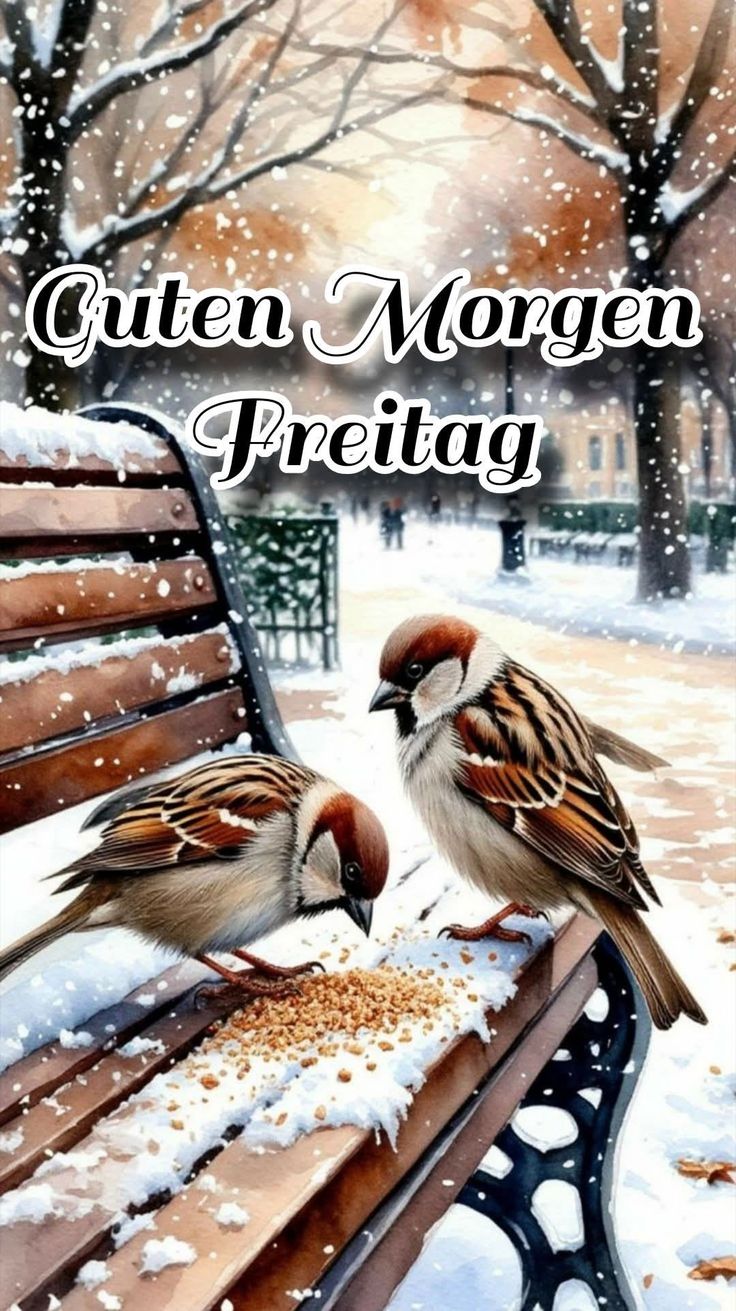 Guten Morgen Freitag Bilder 107