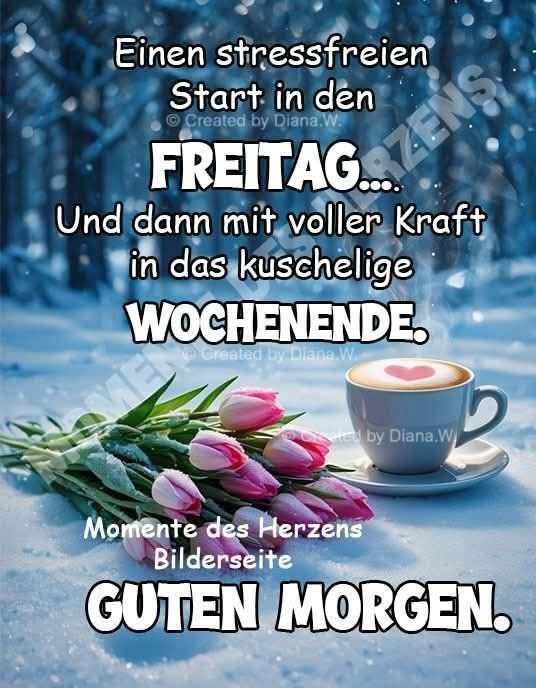 Guten Morgen Freitag Bilder 11