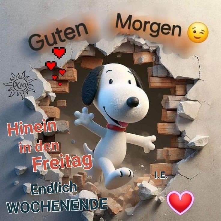 Guten Morgen Freitag Bilder 113