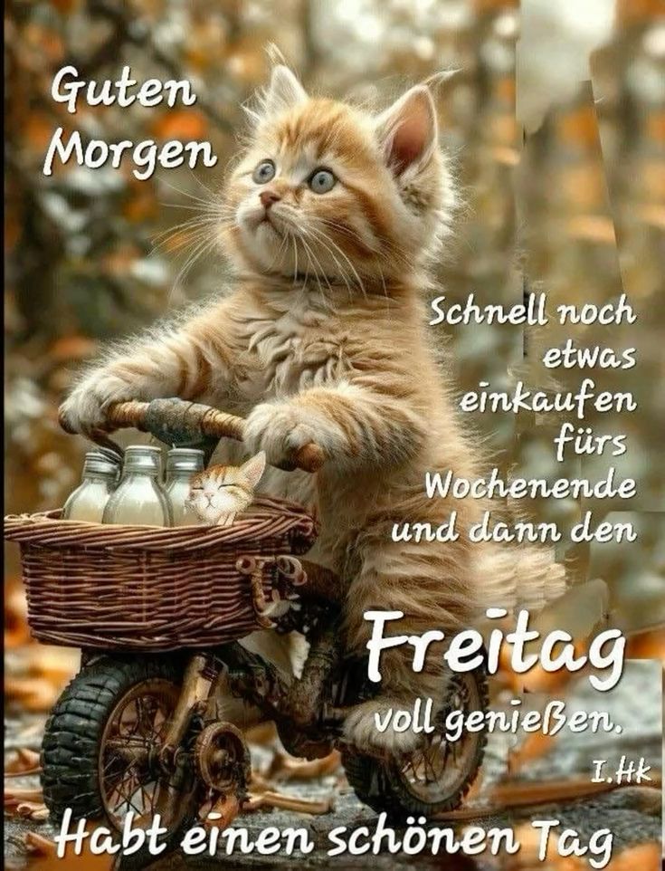 Guten Morgen Freitag Bilder 130