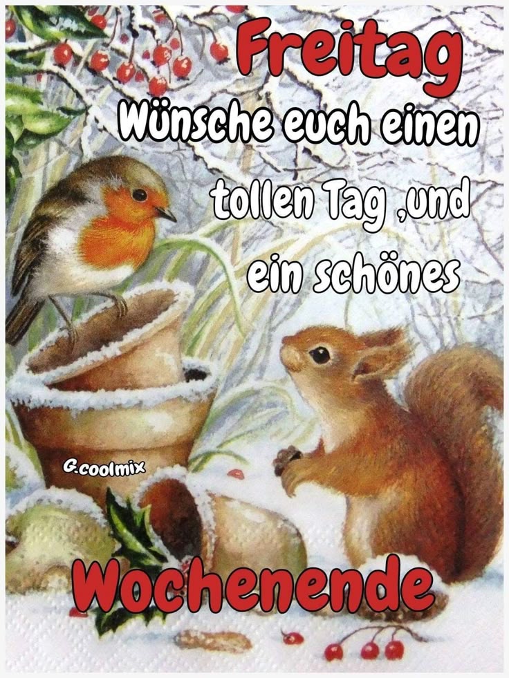 Guten Morgen Freitag Bilder 136