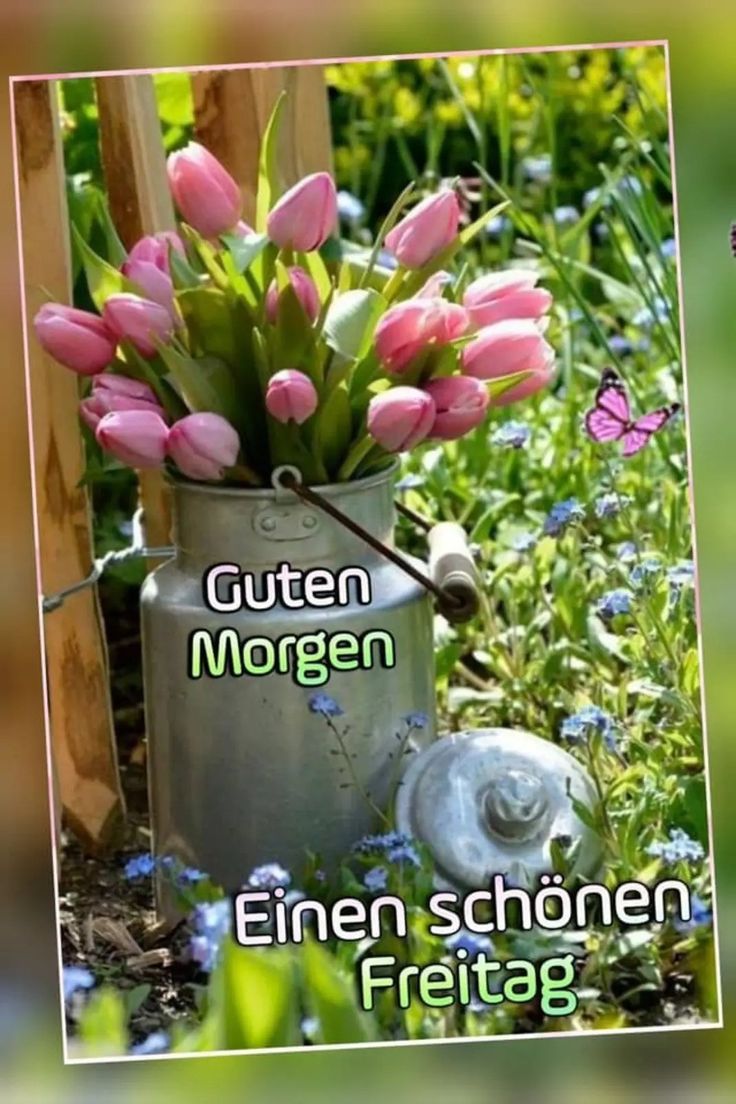 Guten Morgen Freitag Bilder 138