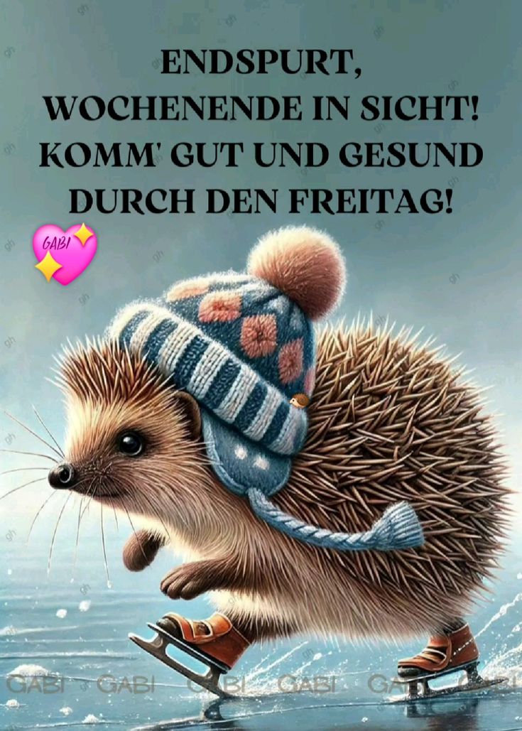 Guten Morgen Freitag Bilder 141