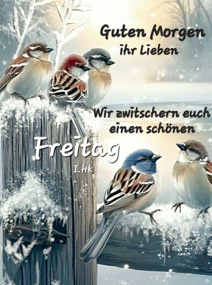 Guten Morgen Freitag Bilder 143