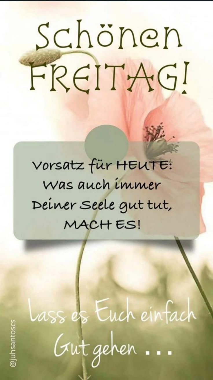 Guten Morgen Freitag Bilder 144