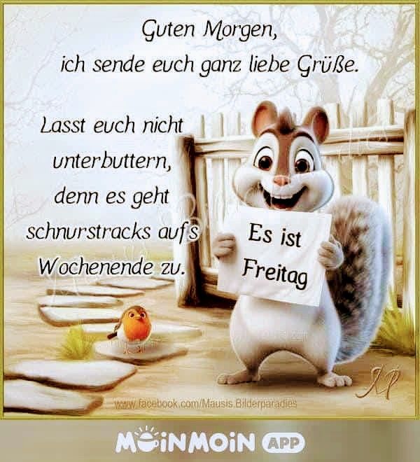 Guten Morgen Freitag Bilder 146