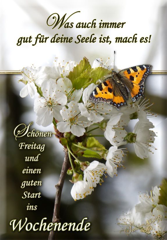 Guten Morgen Freitag Bilder 25