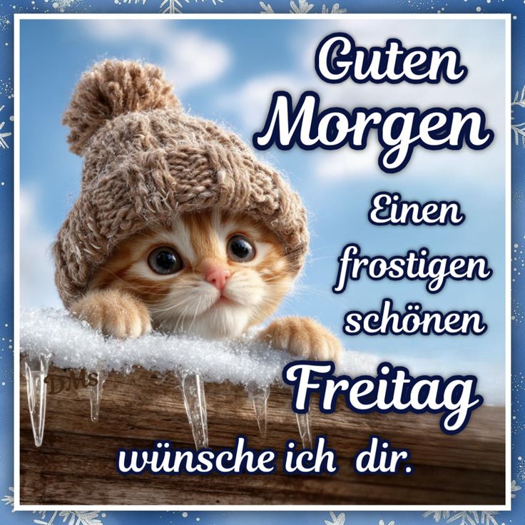 Guten Morgen Freitag Bilder 26