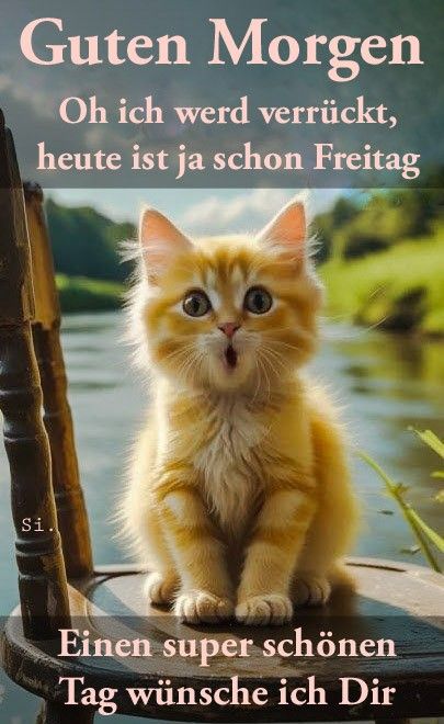Guten Morgen Freitag Bilder 44