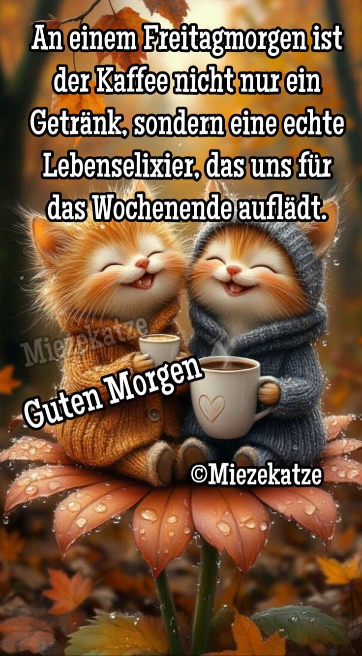 Guten Morgen Freitag Bilder 6