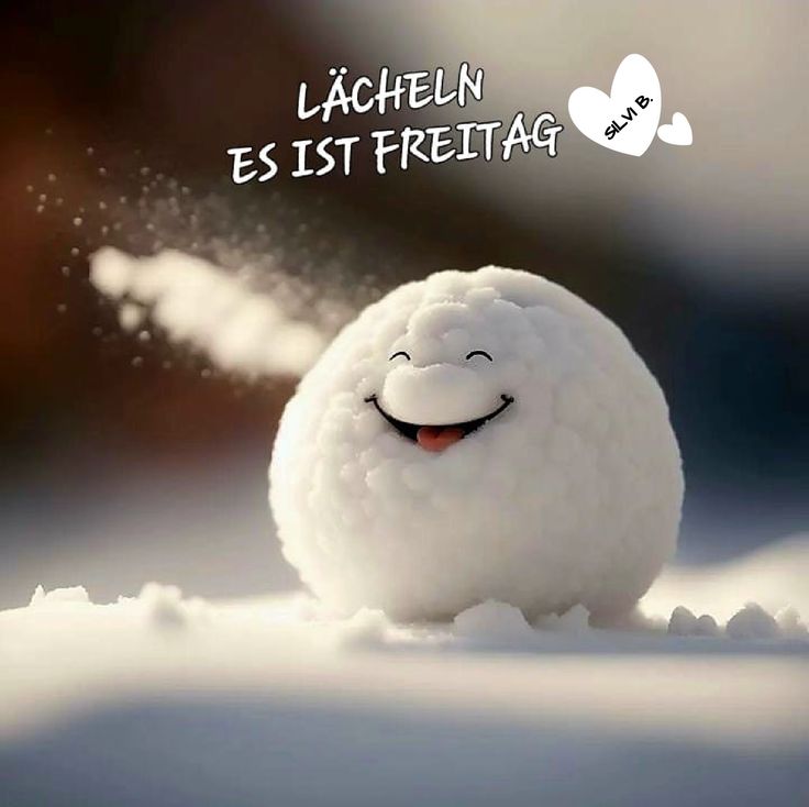 Guten Morgen Freitag Bilder 67