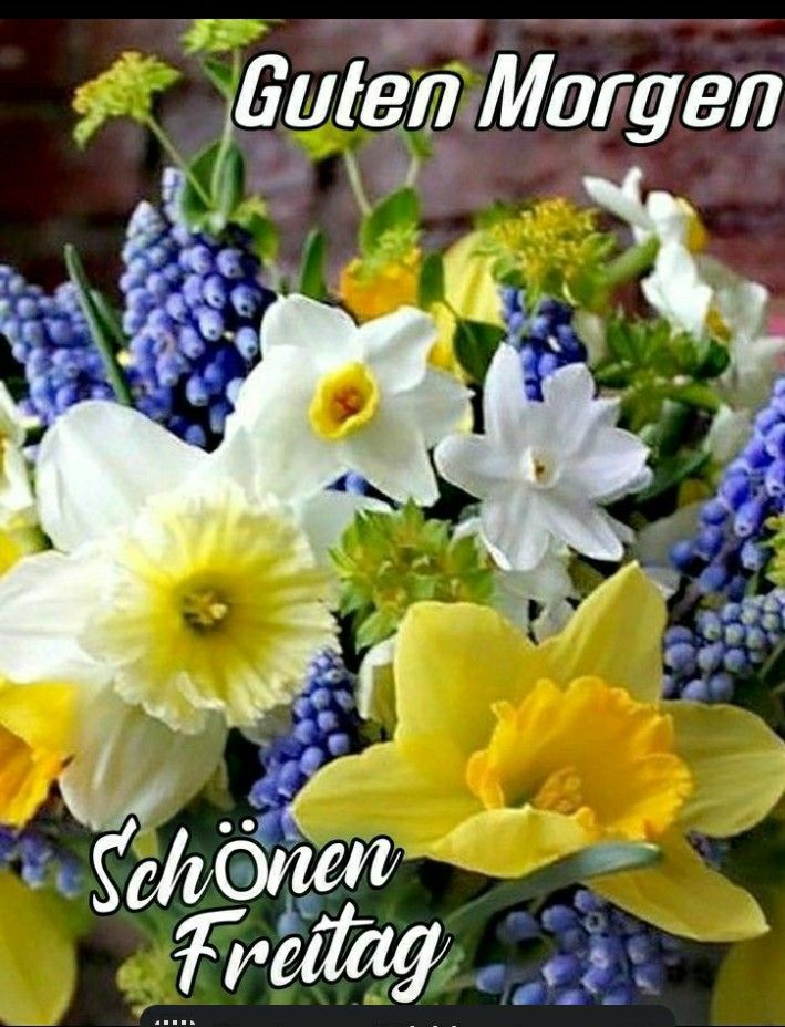 Guten Morgen Freitag Bilder 8