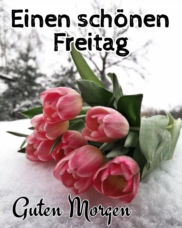 Guten Morgen Freitag Bilder 89