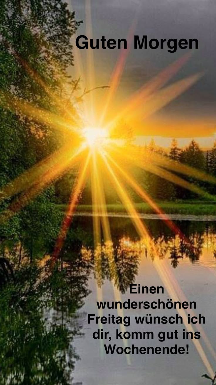 Guten Morgen Freitag Bilder 97