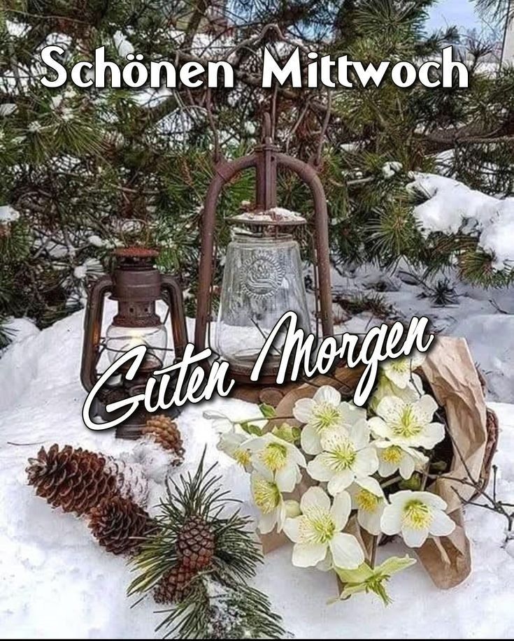 Guten Morgen Mittwoch Bilder 122