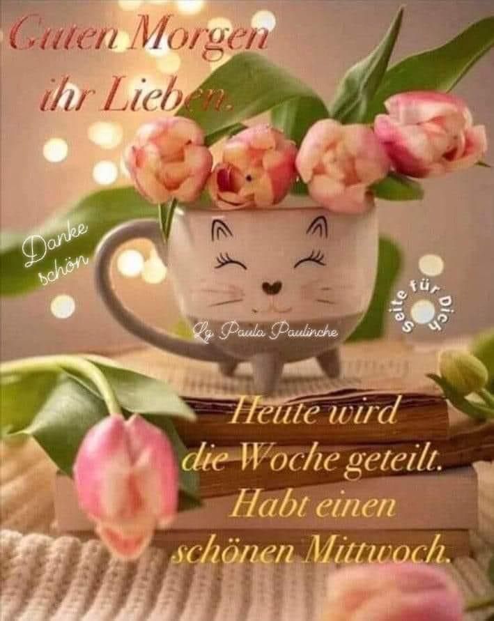 Guten Morgen Mittwoch Bilder 131