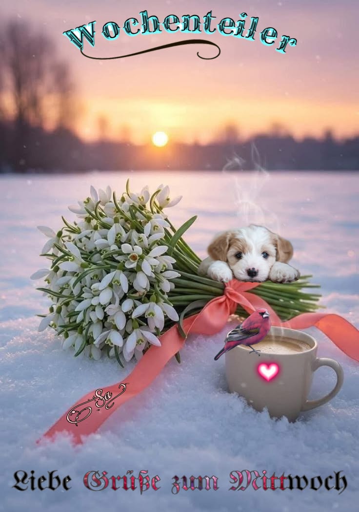 Guten Morgen Mittwoch Bilder 19