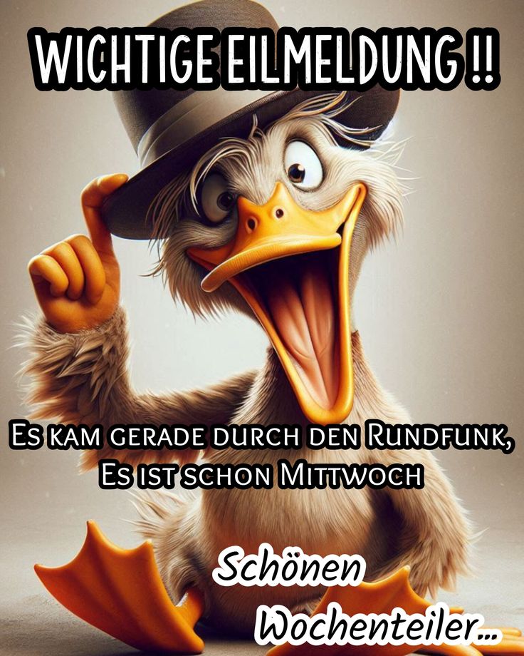 Guten Morgen Mittwoch Bilder 40
