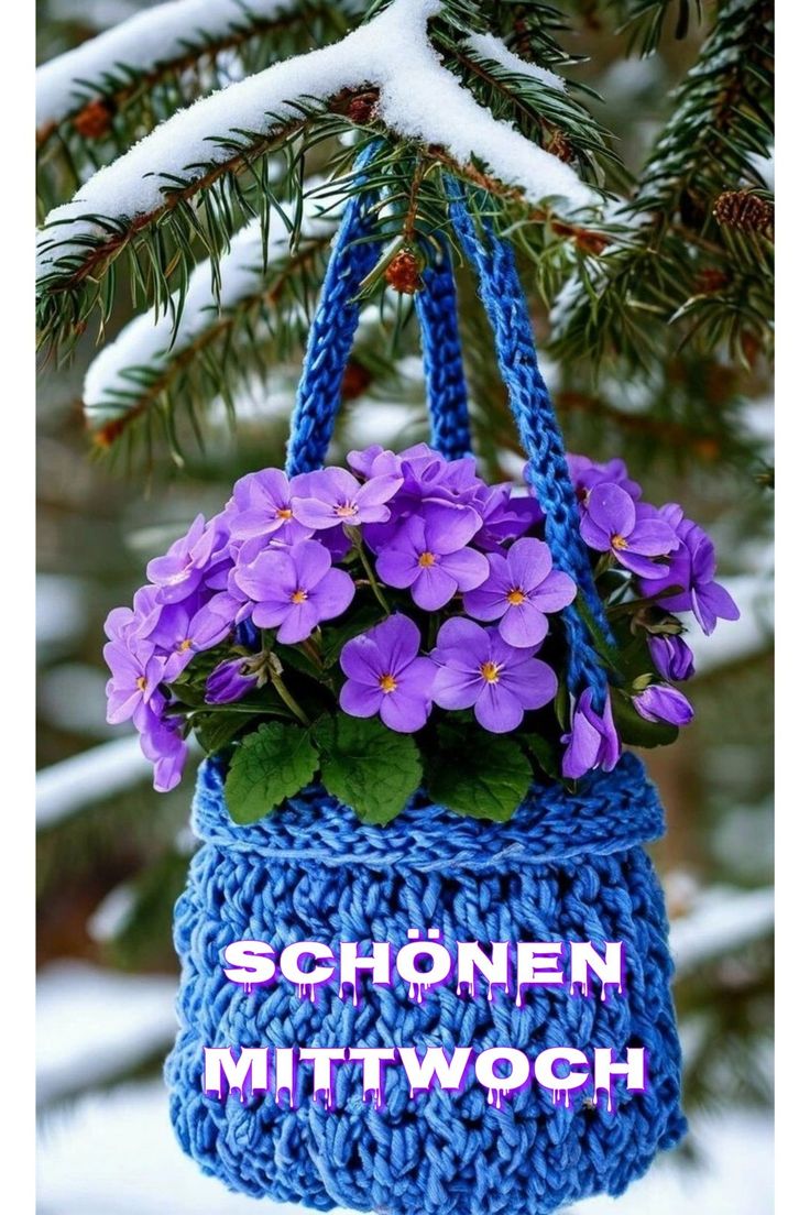 Guten Morgen Mittwoch Bilder 7